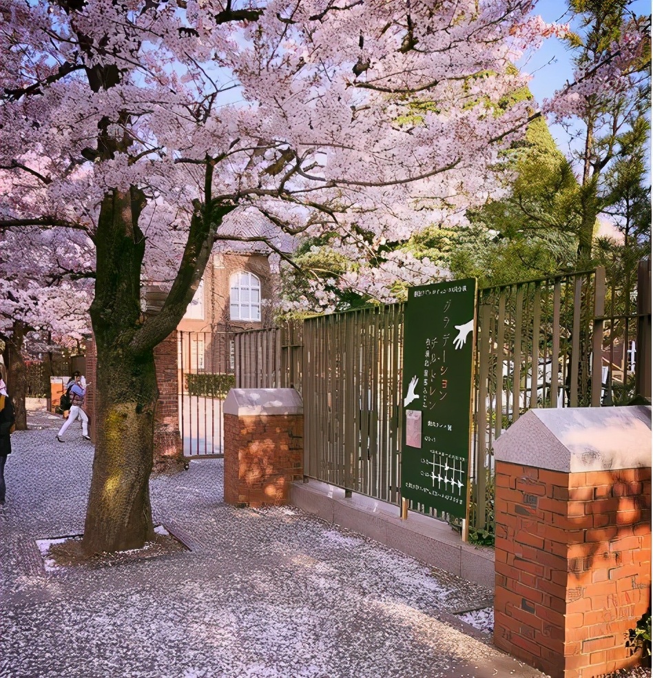 日本留学：有一种美，叫做立教大学