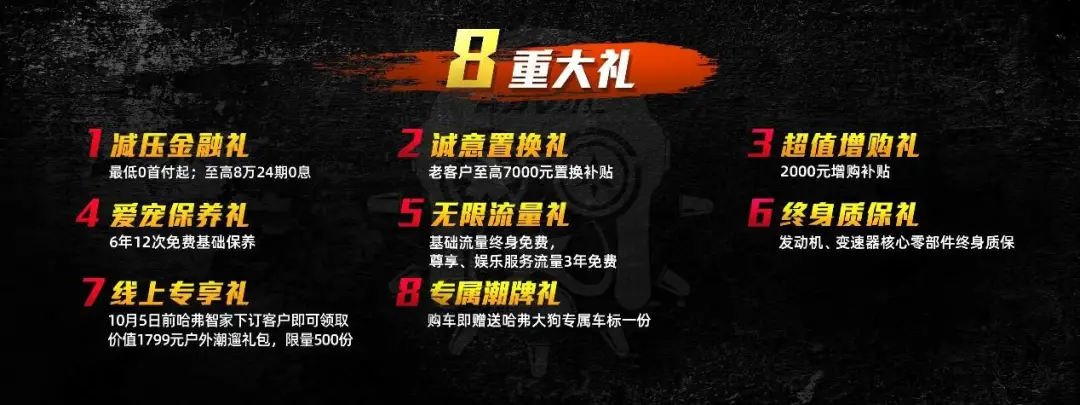 大河报汽车网