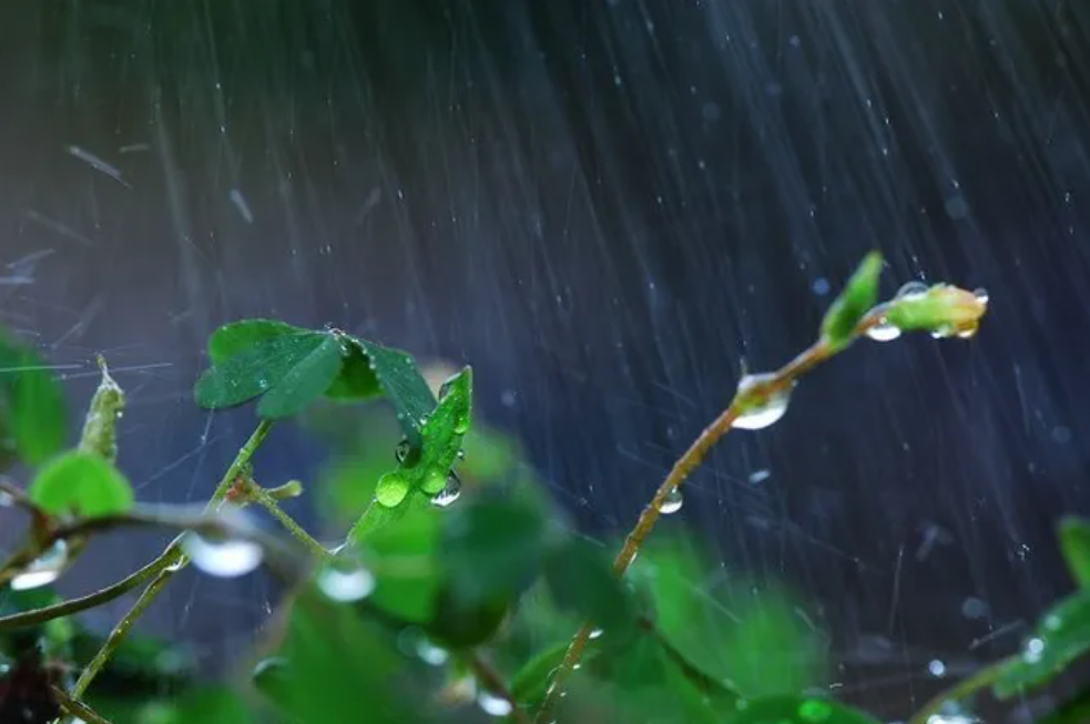有关小雨的诗词，让小雨驱散夏日的炎热-第15张图片-非凡网