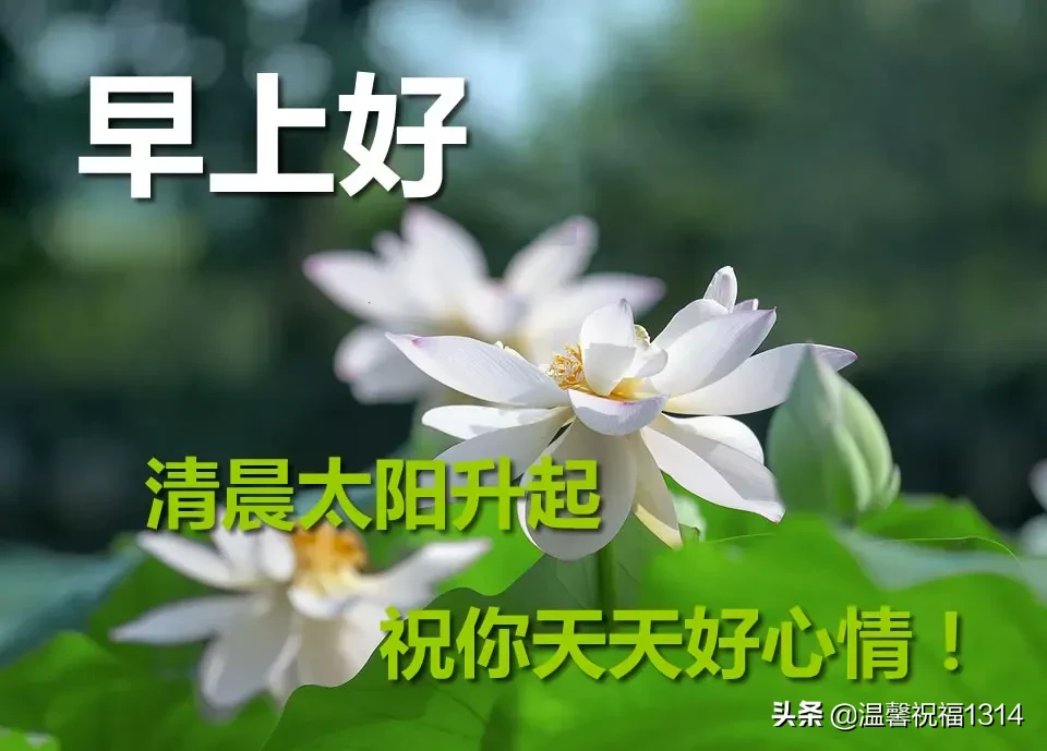 好看的早安图片带字推荐，漂亮的早上好问候语图片图片