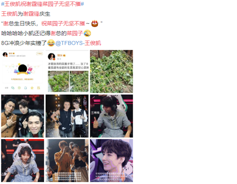 谢霆锋生日，王俊凯祝锋哥菜园子无坚不摧，锋哥会如何回应？