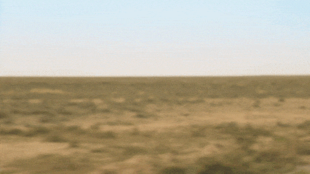 " on Yang Fu " " skirt of the Neon since wind " " green " " attack street " ? Homebred the end at can be saved