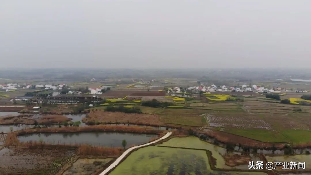 来今雨农场——一位退役海军开创的农业新天地
