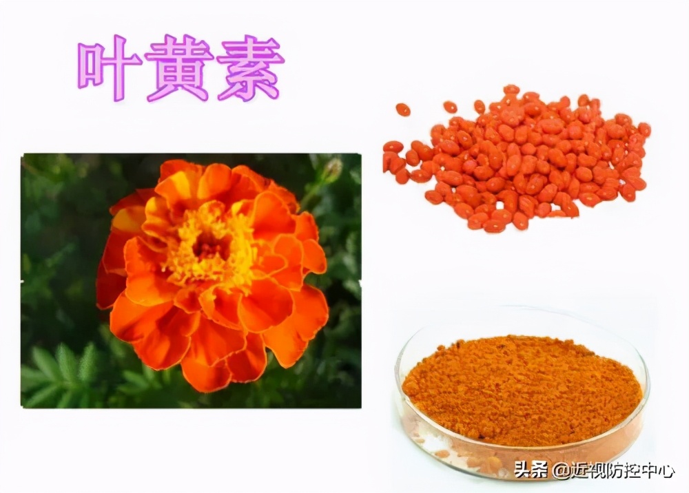 关于叶黄素，你不可不知的几点