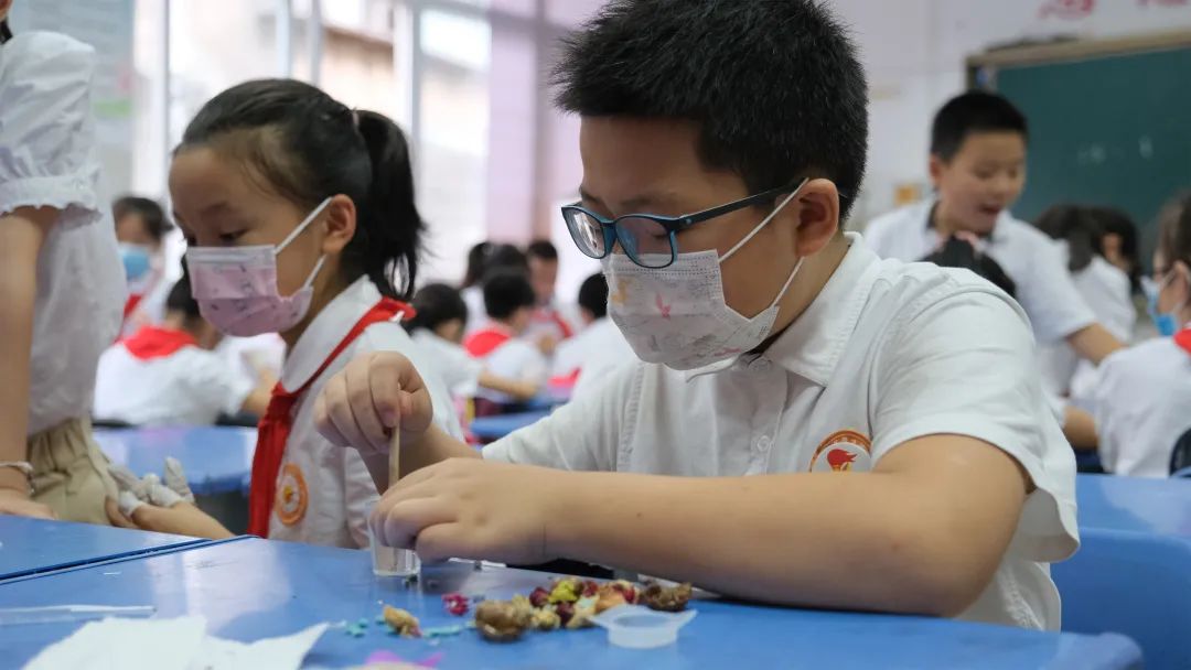 当中秋与中药相遇，孩子们的心里便撒下了中医药的种子