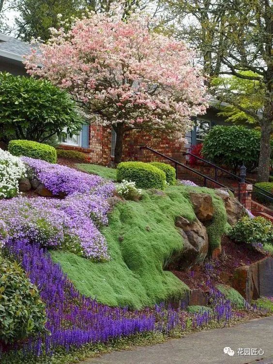 苔痕上阶绿 草色入帘青 怎么翻译 陋室铭 全文怎样翻译 秦学教育