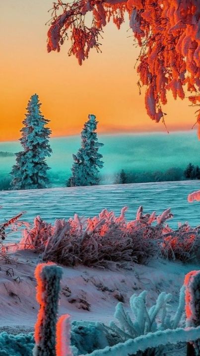 冬日有情还可爱，最美的冬日古诗词-第37张图片-诗句网