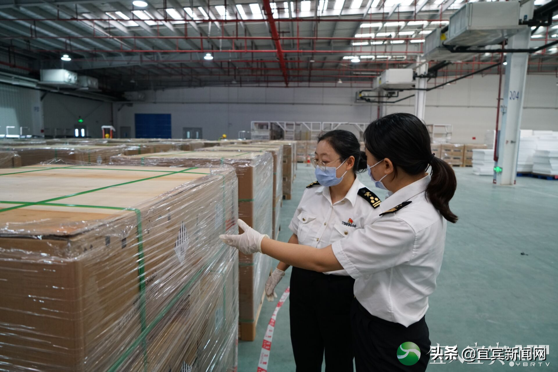 持续增长！1—8月宜宾外贸进出口总值突破133亿元