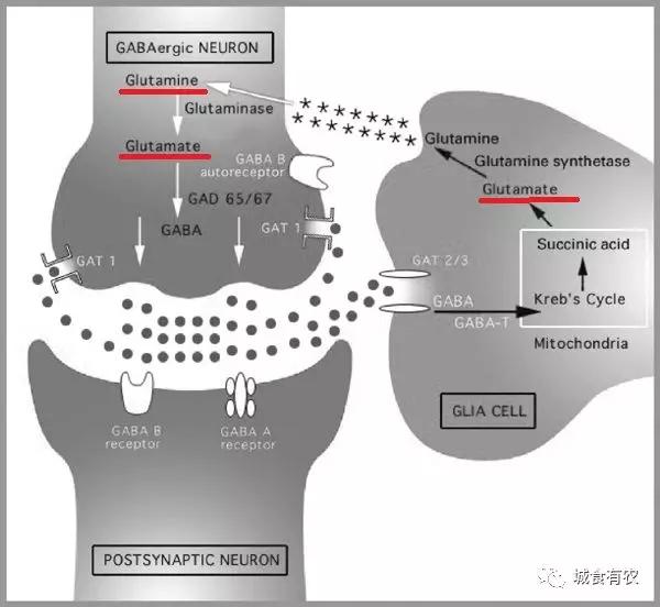 味精的迫害妄想症，鸡精的高级智商税