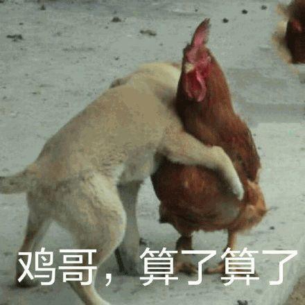 当国产9.3得罪了广东人……