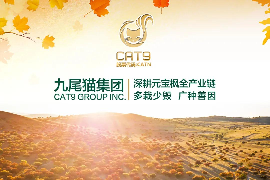 CAT9时讯｜九尾猫集团各地渠道代表参观荣昌基地
