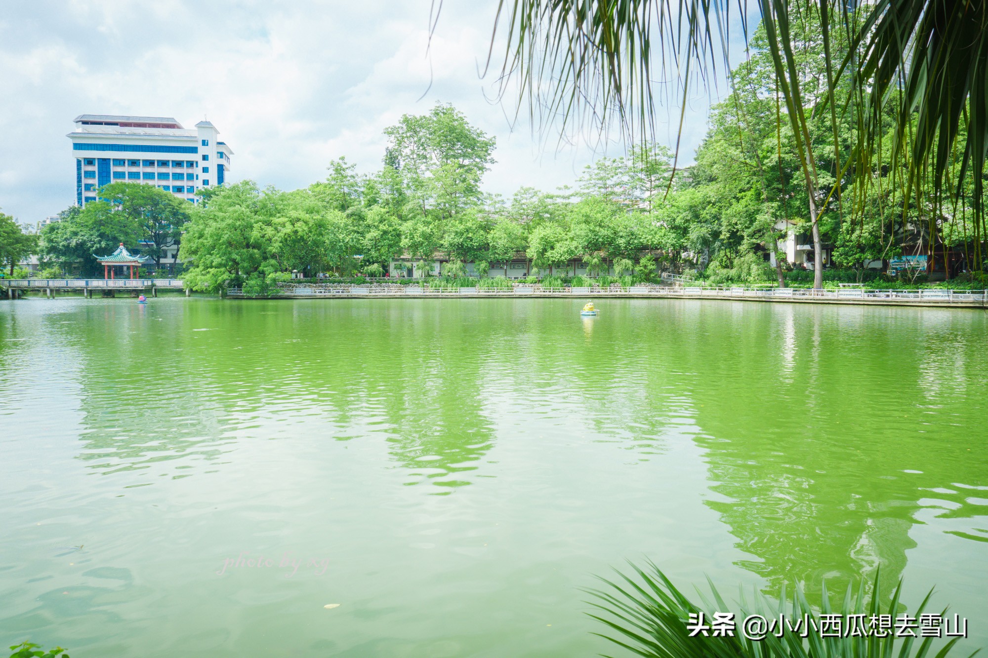 廣西唯一一個(gè)國(guó)家重點(diǎn)公園，就藏柳州，為4A級(jí)景區(qū)竟免費(fèi)對(duì)外開放