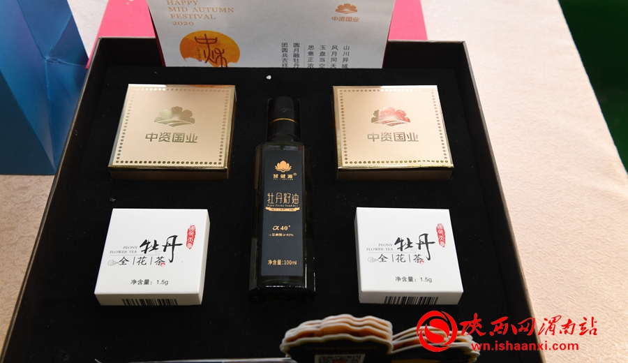 第四屆洽川旅游文化季牡丹嘉年華精彩紛呈 美食美景等你來解鎖（組圖）