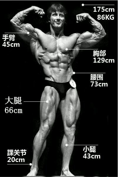 健美运动有史以来10大最佳体形评选，施瓦辛格居然不是第一名？