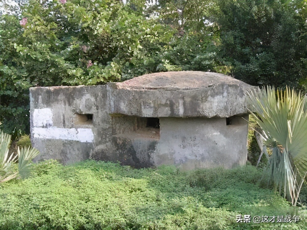 他搞肃反错杀了很多人，但是在他率领下，活下来的人更多