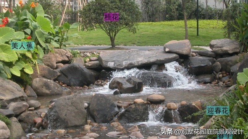 別墅庭院常用植物分享，附照片及名字標(biāo)注（珍藏版）