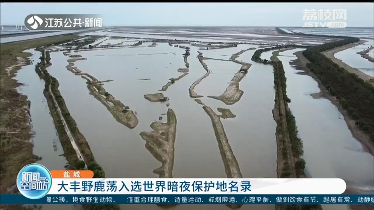 仰望星空 大丰野鹿荡入选世界暗夜保护地名录
