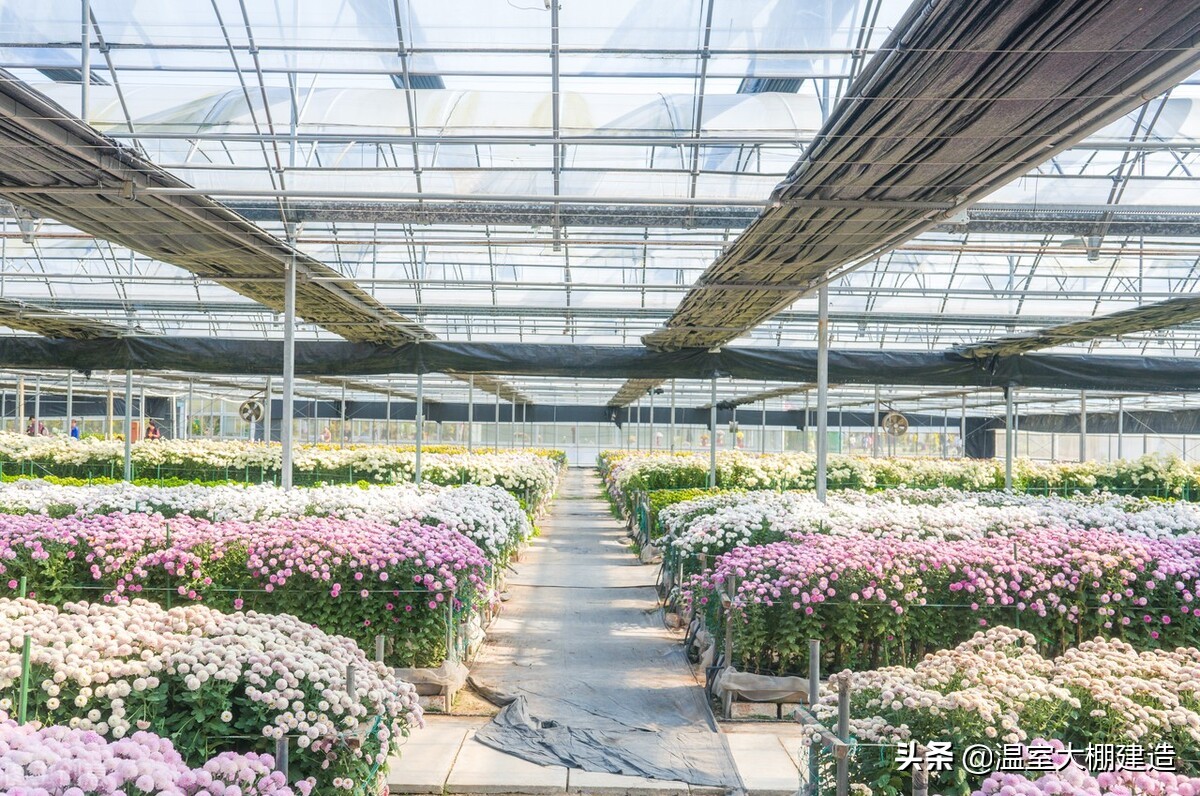 温室大棚中水肥一体化的应用技术你有了解过吗？