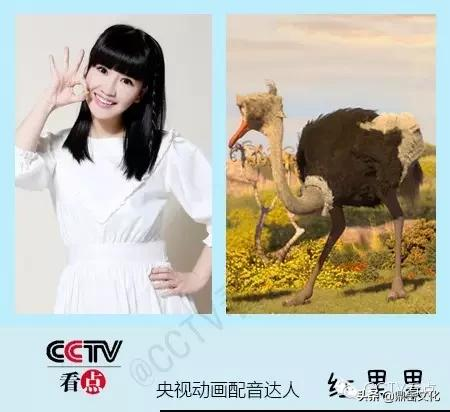 盘点那些令人难忘的动画配音高手