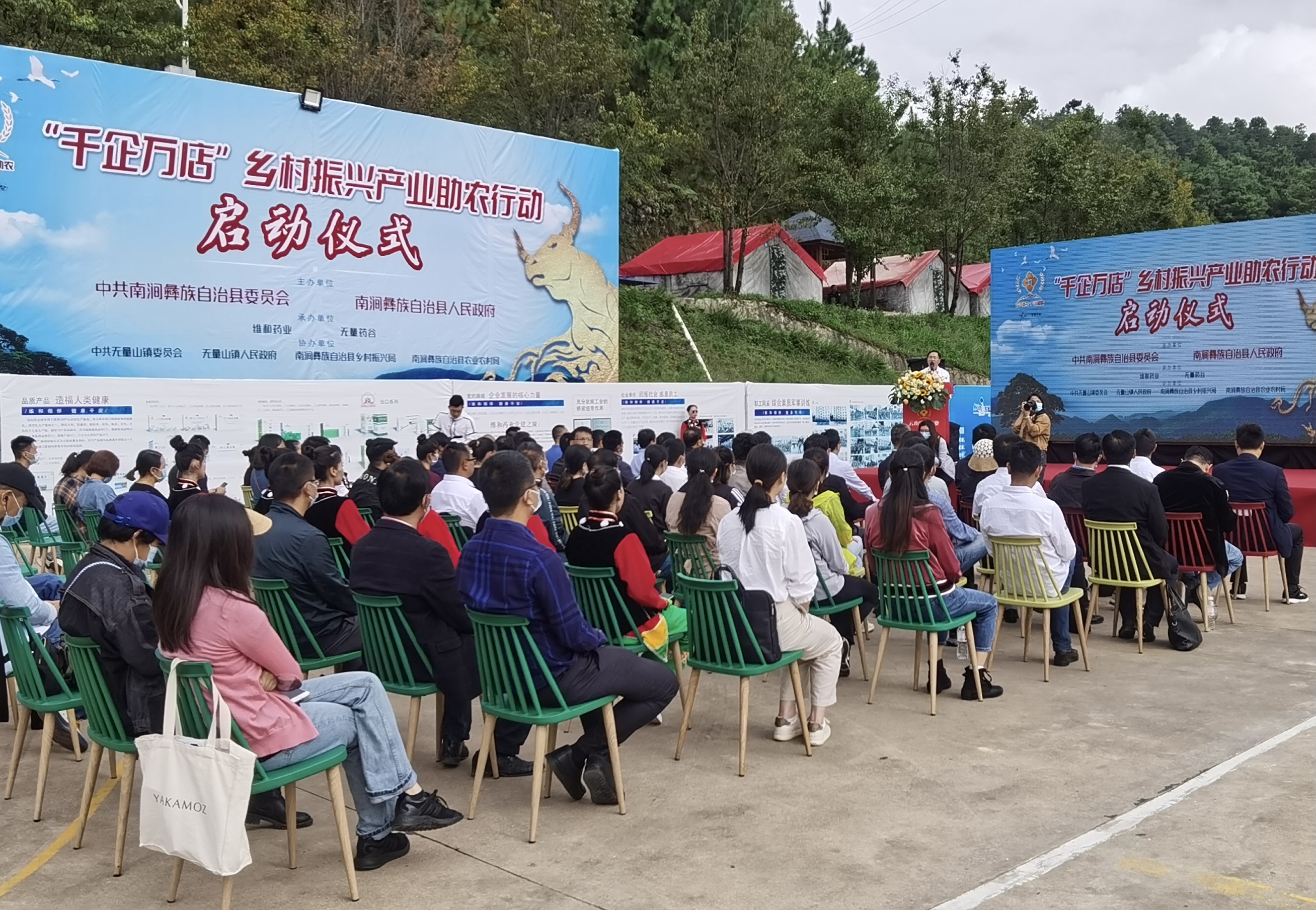 “千企万店助彝乡”在无量山启动，医药界60金主与千余茶农签约