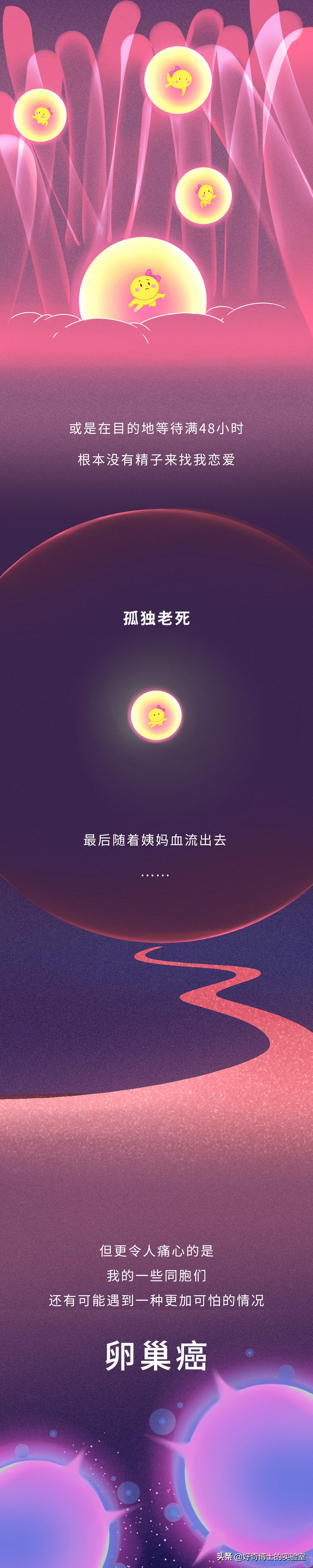 你對女生的卵子根本一無所知