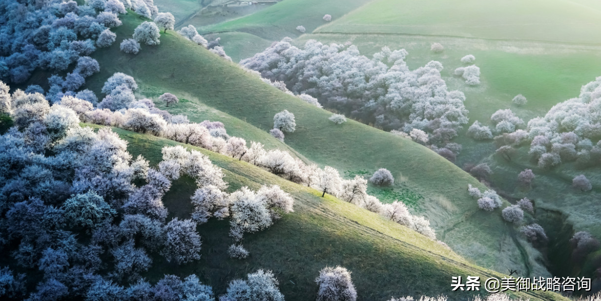 专业的全案策划