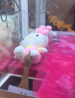 搞笑的GIF图片：铲屎的！你的良心就不会疼吗？