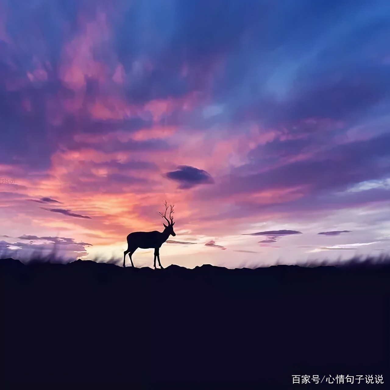 奋斗励志的句子：激励自己努力奋斗的励志短句图片