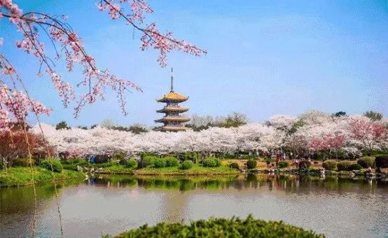 湖北重启，最值得去的地方瞧妹帮大家找到了