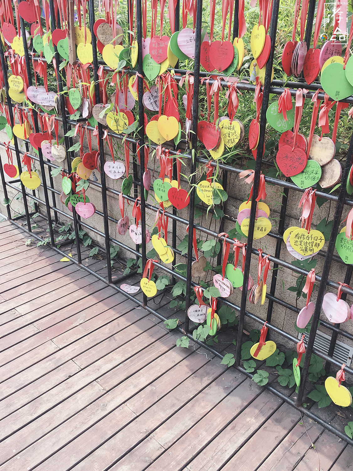 重庆人自己的外滩：九龙坡滨江路，从早到晚都能带给你惊喜