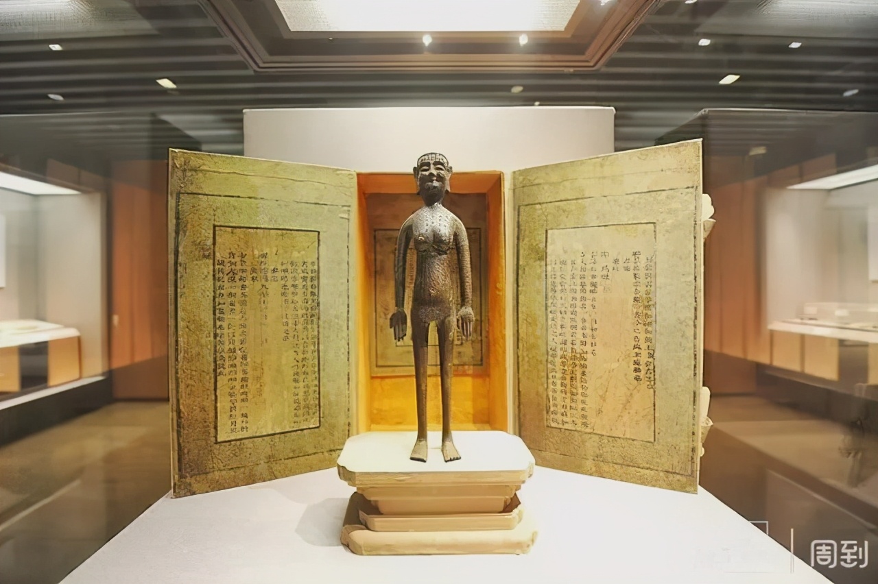 千年辉煌，百年曲折，穿越历史探中医——探访上海中医药博物馆