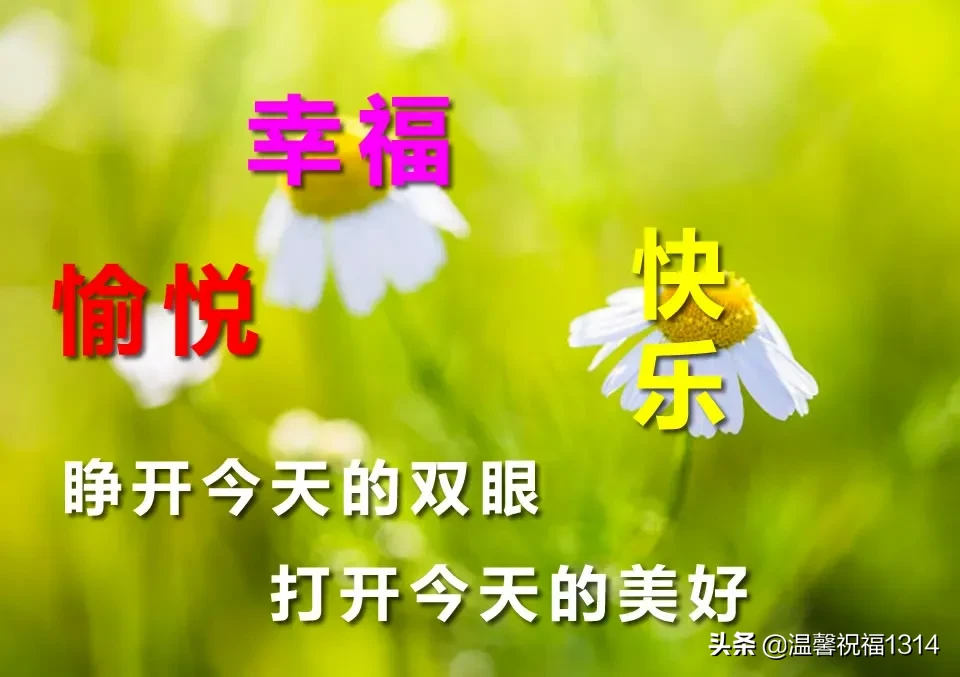 早上好唯美问候语 早安祝福语漂亮图片