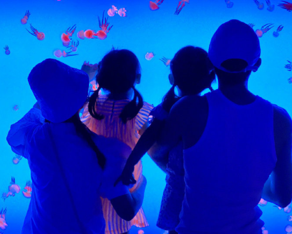 俏俏|谢娜为跳跳俏俏庆生！分享草地玩耍照 配文字里行间满是对孩子的爱