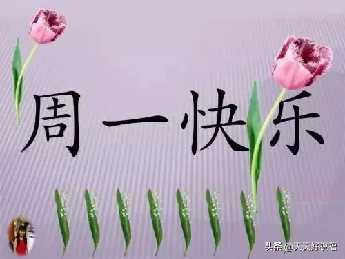 新的一周早晨正能量问候祝福语句，周一最美的早安祝福表情图片图片