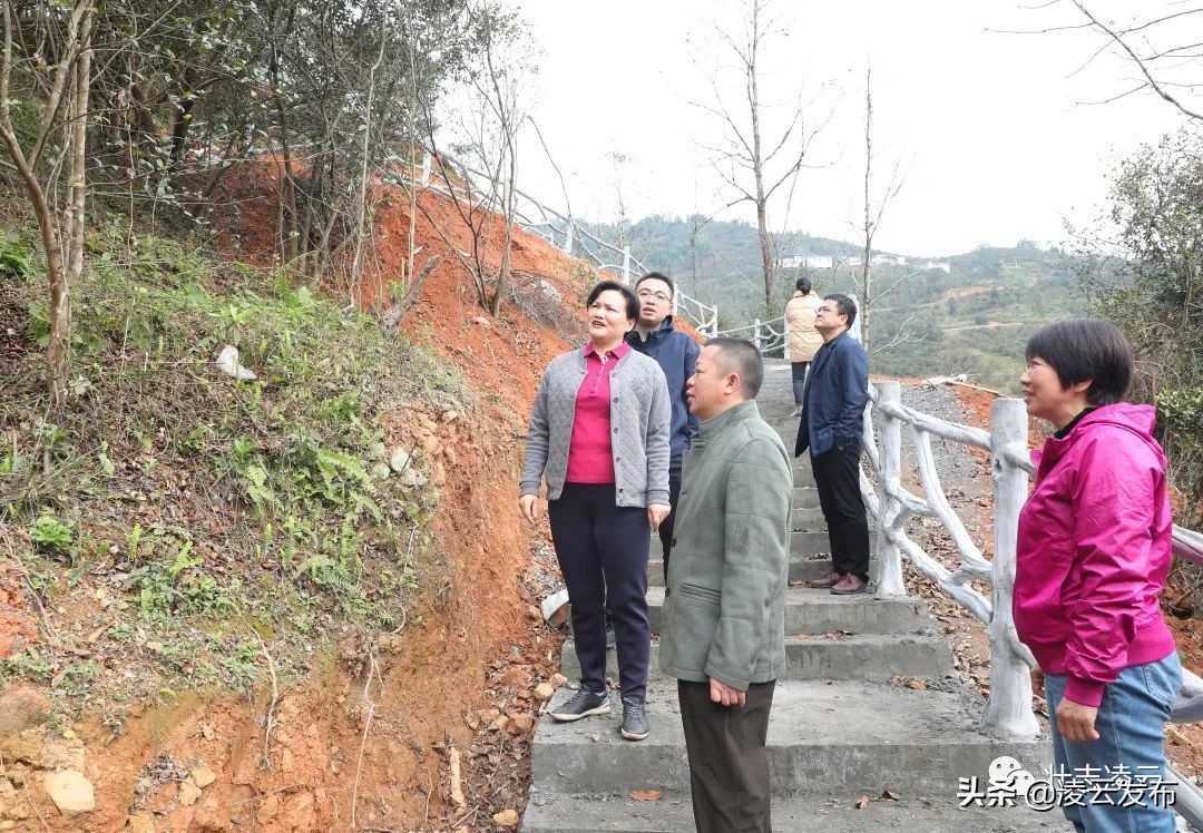 伍奕蓉就“泗水缤纷”项目建设、浩坤湖运营情况调研 伍奕,泗水,缤纷,项目,项目建设