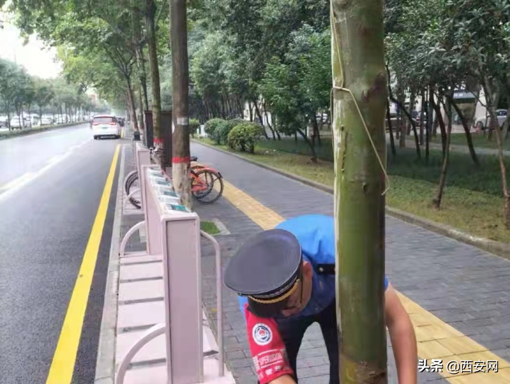 未央区全力做好十四运会马拉松赛事保障