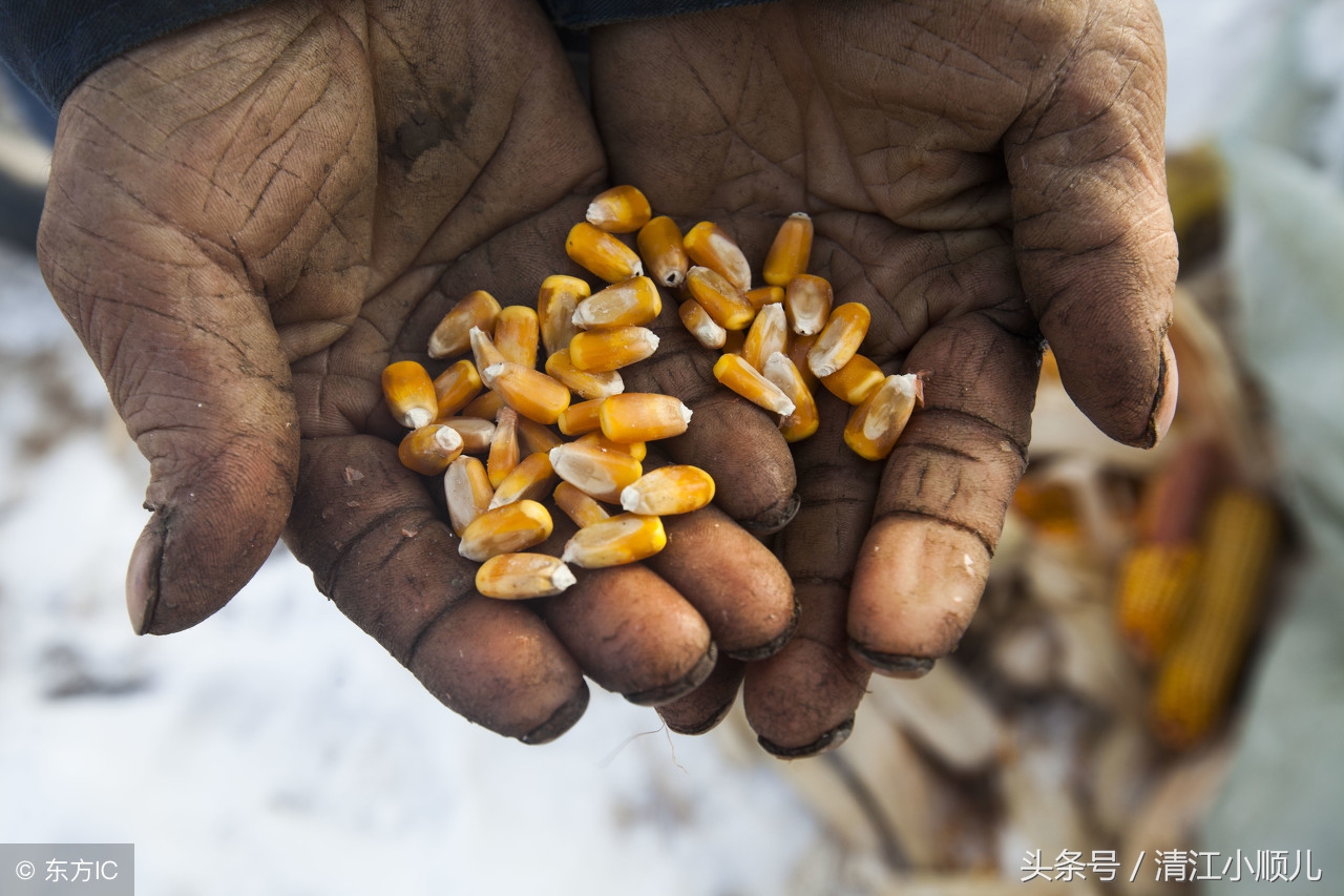 农耕文化、贫民窟、农场主与流浪汉