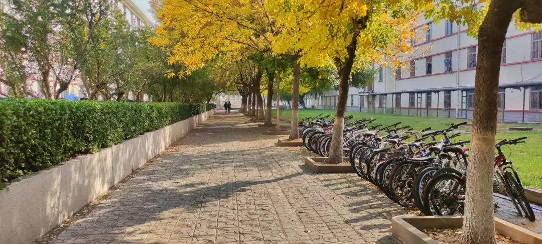 “新大学”组团出现,面对新改名的大学应该怎么选?
