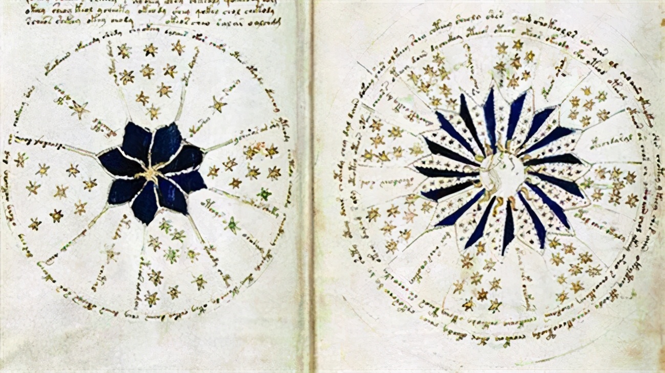 天書《伏尼契手稿》，至今無人能解，裏麵的圖太怪異了伏尼契