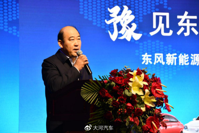 大河报汽车网