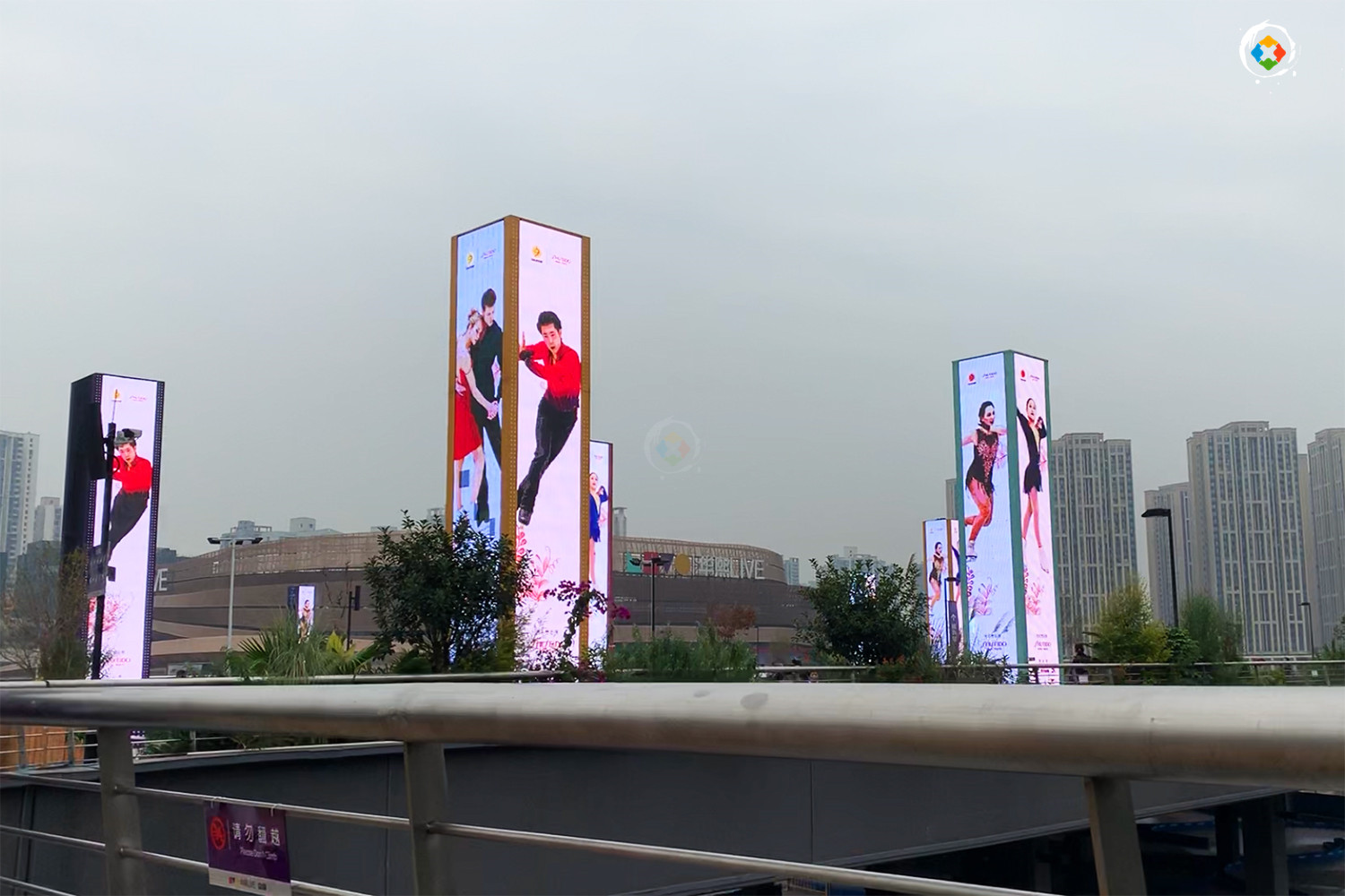 重庆人对体育的热情去哪了？世界大赛空降山城，市民却一无所知