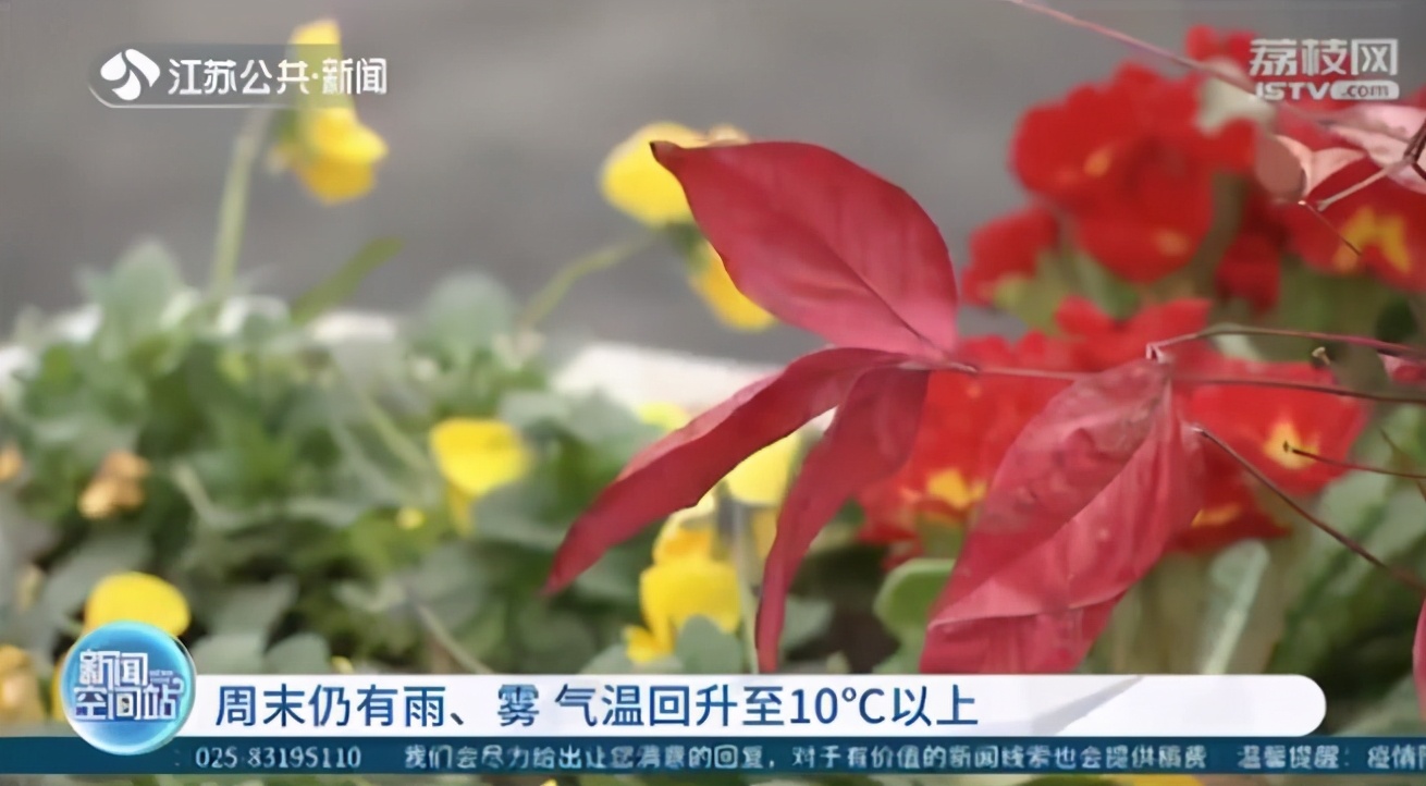 春节江苏高温能有25度？省气象台：没那么高，不能着急换掉冬装