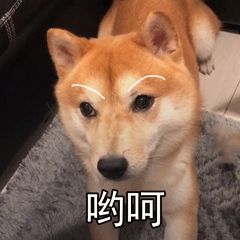 շСá߽񷨵㊸