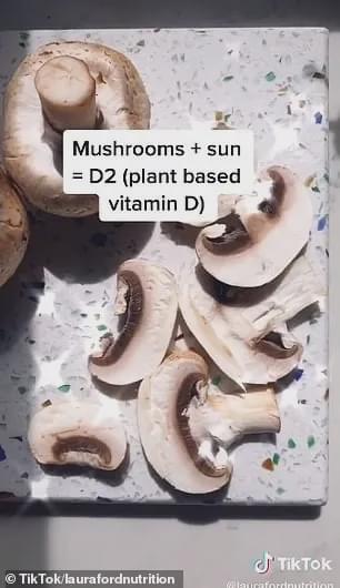 澳专家惊曝：蘑菇晒一晒再吃，比牛奶还补钙，养生小妙招曝光