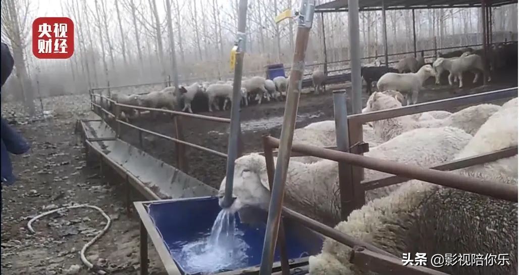 央视3·15刚刚曝光！这些知名品牌被点名…