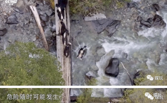 彩蛋不断！这一季《航拍中国》是怎样靠“翻车