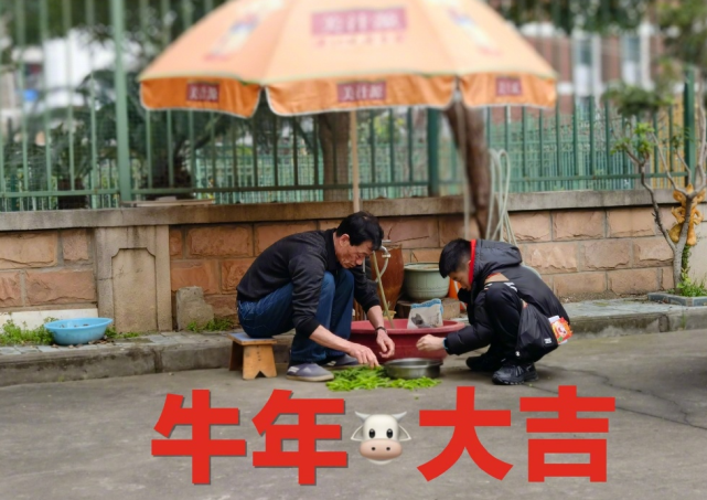 楊威罕曬爸爸兒子合照，楊陽洋蹲地擇菜側顏像爺爺，口袋紅包搶鏡