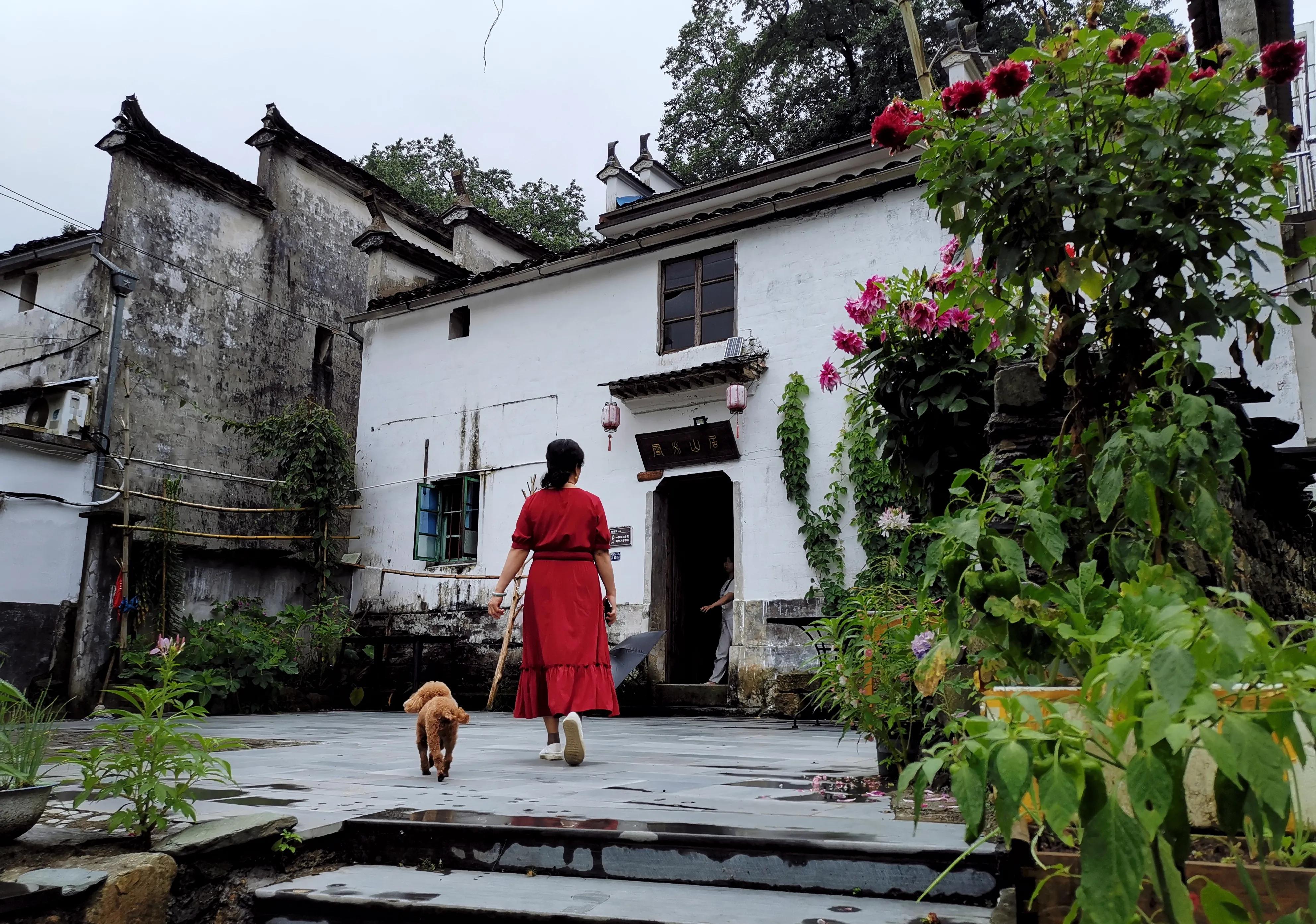 夏天去婺源：920米鄣山村避暑，13公里密林穿越，雨天看卧龙美景