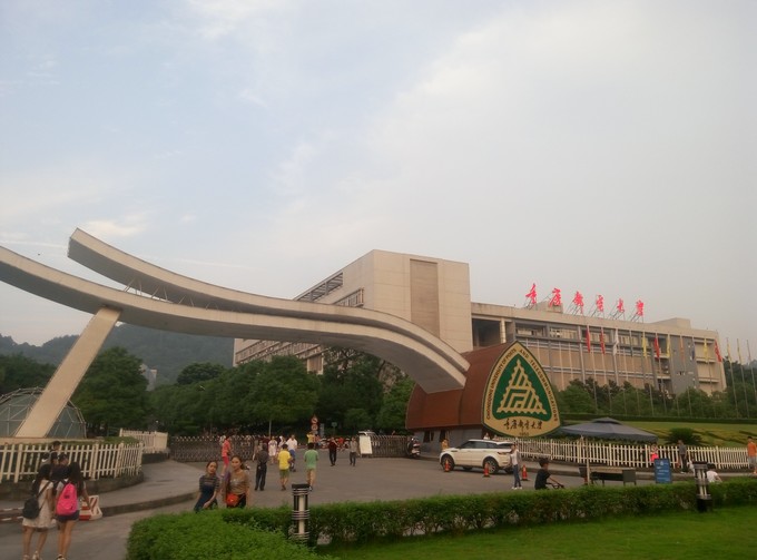 2020年重庆市公办大学排名：重庆大学获桂冠，西南政法第三名