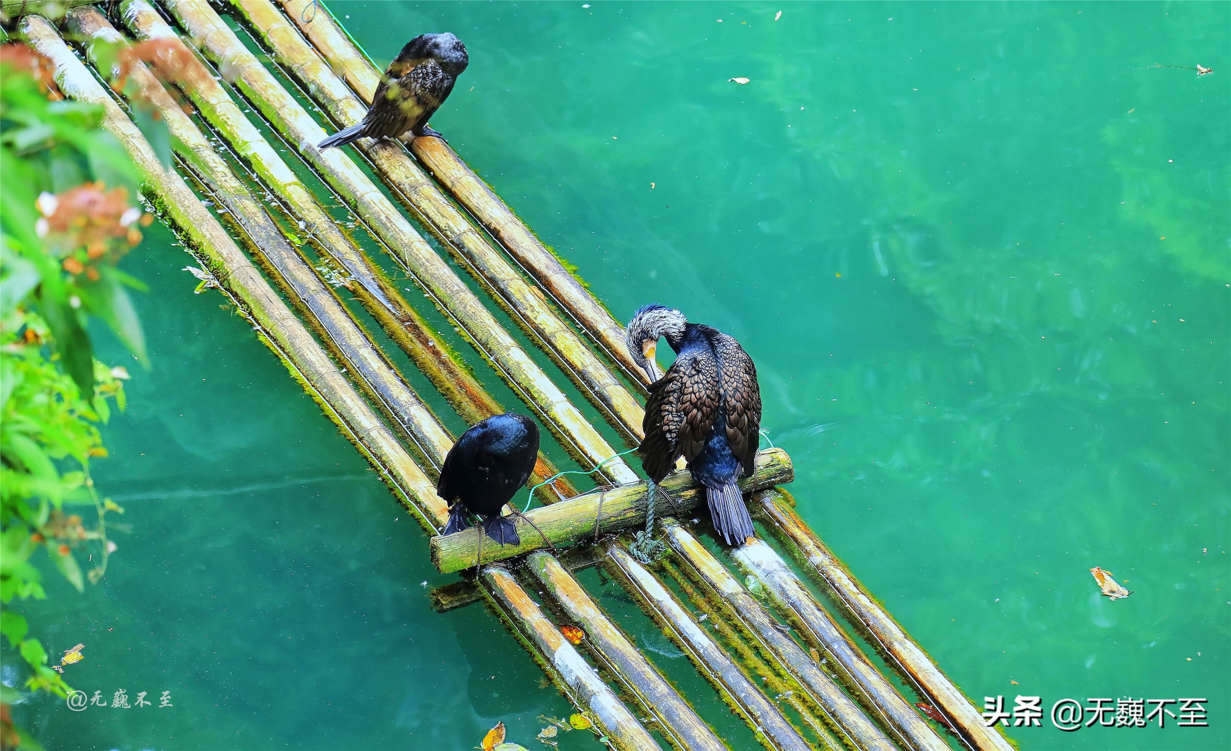 夜发清溪向三峡，灯影凝翠有人家(紫钗记灯街拾翠小桃红)